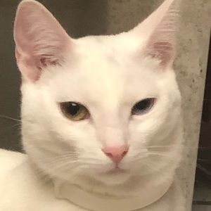 Meet your Posher, Tammy